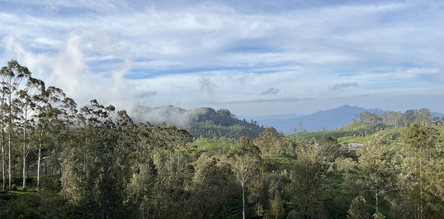 SRI LANKA la Isla Esmeralda